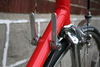 Miele Luna Campagnolo Victory photo