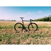 Mielec Graphite-Pink photo