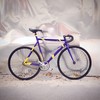 Mielec "Violet & Yellow" bike photo