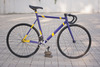 Mielec "Violet & Yellow" bike photo