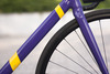 Mielec "Violet & Yellow" bike photo