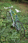 MIFA Fixed Gear - GDR Artist Bike 1970s photo