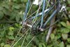 MIFA Fixed Gear - GDR Artist Bike 1970s photo