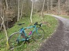 Milwaukee Bicycle Co. Roadie photo