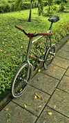 Minivelo Fixed Gear photo