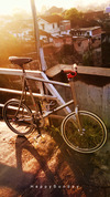 Minivelo Fixed Gear photo