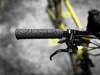 MINIVELO TERN CREST photo