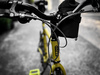 MINIVELO TERN CREST photo