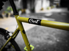 MINIVELO TERN CREST photo
