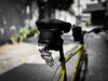 MINIVELO TERN CREST photo