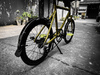 MINIVELO TERN CREST photo