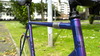 MINO DENTI- blue and purple fadeZ photo