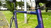 MINO DENTI- blue and purple fadeZ photo