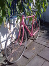 Miyata California(Fixed Gear Conversion) photo