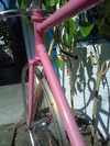 Miyata California(Fixed Gear Conversion) photo