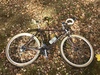 Miyata SportCross Allroad photo