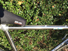 Miyata Titanium T6000 photo