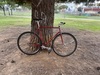 Molvedo by Alberto track bike photo