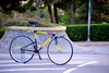 Mondrian Rico pursuit photo