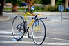 Mondrian Rico pursuit photo