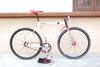 Mongoose Maurice FS 2011 photo