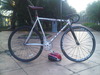 Mongoose Maurice Pursuit (SOLD) photo