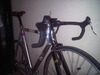 Mongoose Maurice Pursuit (SOLD) photo