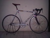 Mongoose Maurice Pursuit (SOLD) photo