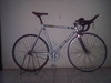 Mongoose Maurice Pursuit (SOLD) photo