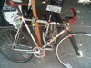 Mongoose Maurice Pursuit (SOLD) photo