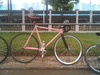 Mongoose Maurice Pursuit (SOLD) photo