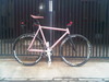 Mongoose Maurice Pursuit (SOLD) photo