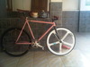 Mongoose Maurice Pursuit (SOLD) photo