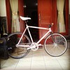 Mongoose Maurice Pursuit (SOLD) photo