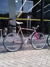 Mongoose Maurice Pursuit (SOLD) photo