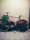 Mongoose Maurice Pursuit (SOLD) photo