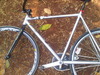 Mongoose Maurice Pursuit (SOLD) photo