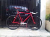 Mongoose Maurice Pursuit (SOLD) photo