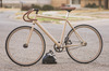 Mongoose Sinsure photo