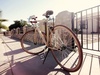 Mongoose Sinsure photo