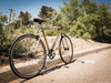 Mongoose Sinsure photo