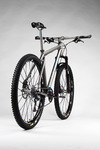 Firefly 29er #381 photo