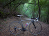 Moots Compact-SL photo