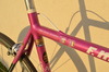 Moser Leader AX photo