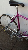 Moser Leader AX & Campagnolo Cda. photo