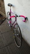 Moser Leader AX & Campagnolo Cda. photo