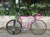 Moser Leader AX evolution photo