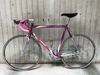 Moser Leader AX evolution photo