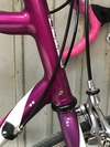 Moser Leader AX evolution photo