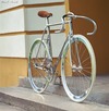 Moser Pista photo